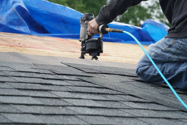 Best Roof Gutter Cleaning  in Etowah, NC